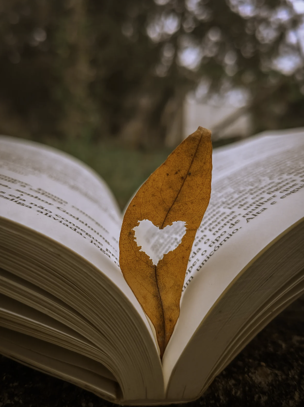 Book with a leaf in it. The leaf has a heart cut out of it.