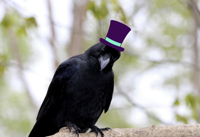 Crow wearing a hat.